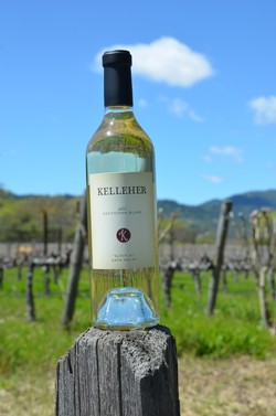 2011 Kelleher